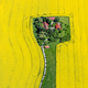 Illustration for article titled The Odd and Mesmerizing Aerial Photos of Klaus Leidorf